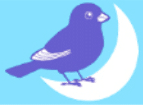 Bird and Moon