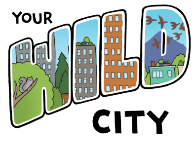 Your Wild City