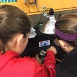 Student Scientist Partnerships