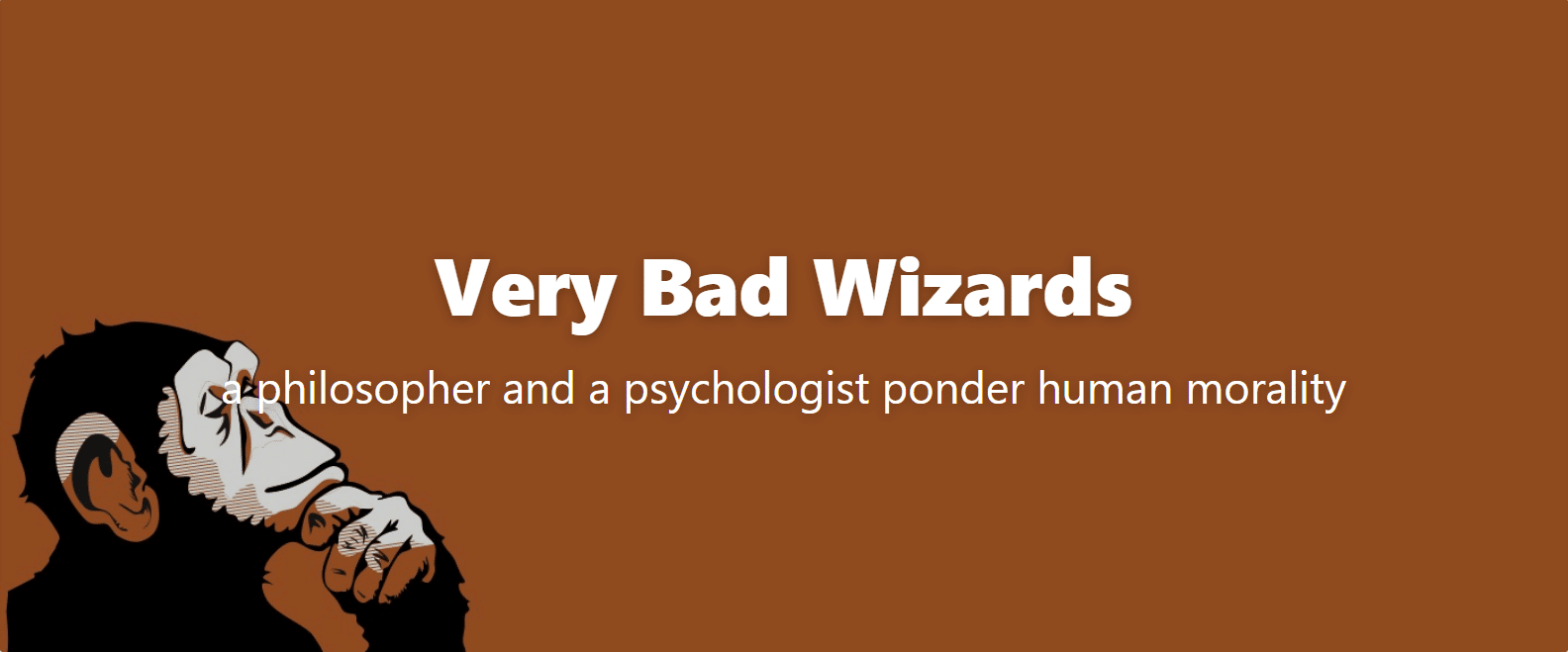 Very Bad Wizards