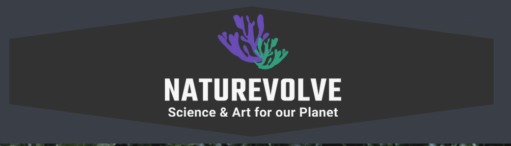 NatureVolve Magazine: Creative Scicomm & SciArt